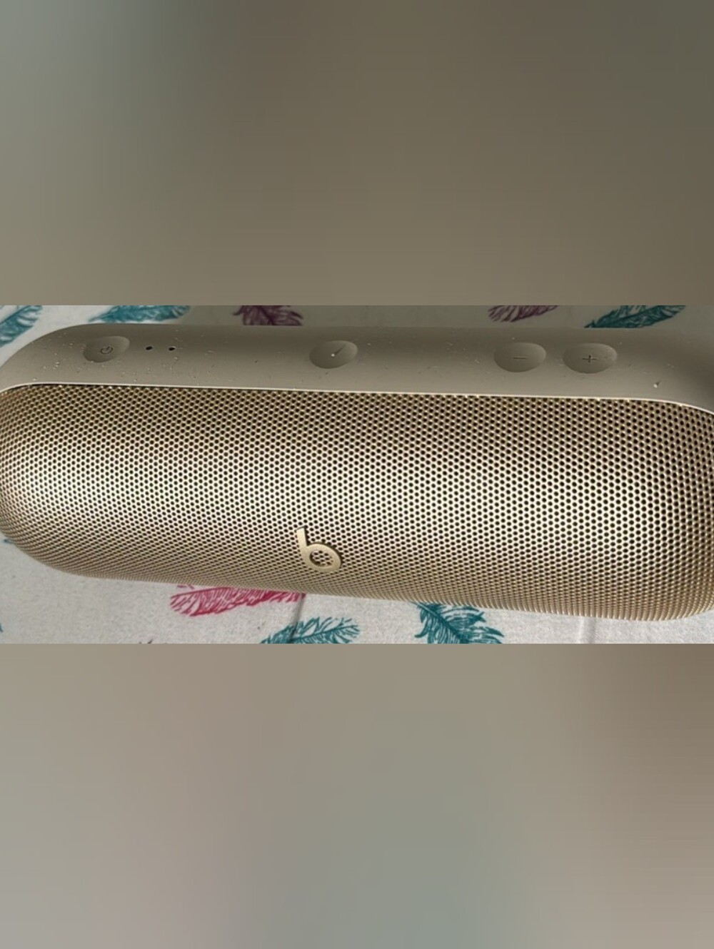 Beats Pill 2024